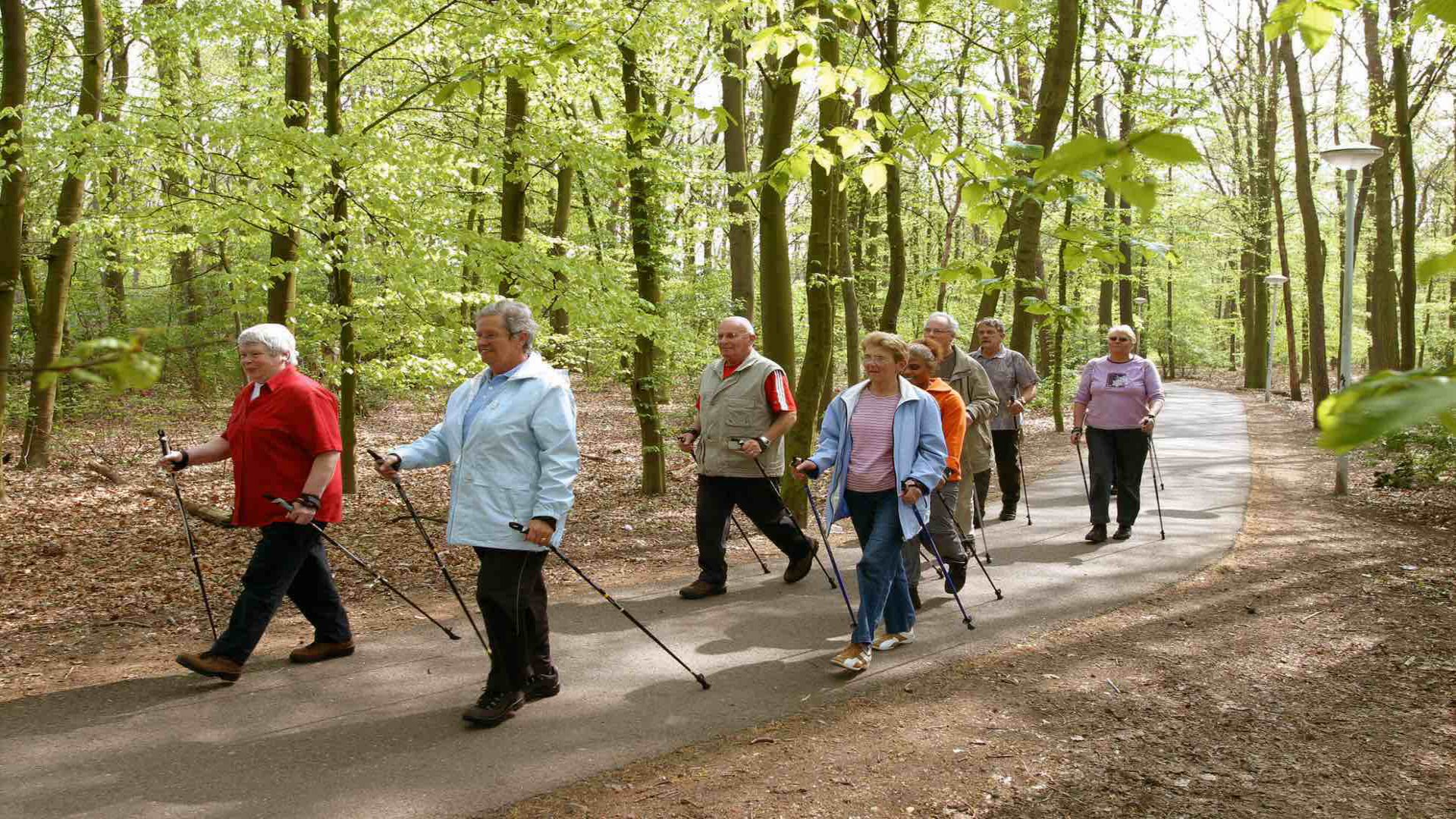 Nordic Walking in het bos